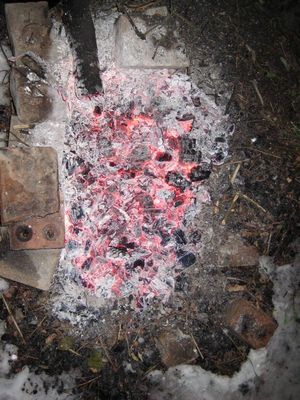 Тимер на озере. Осень 2009.