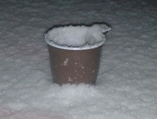 Тимер на озере. Осень 2009.