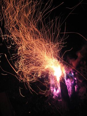 Тимер на озере. Осень 2009.